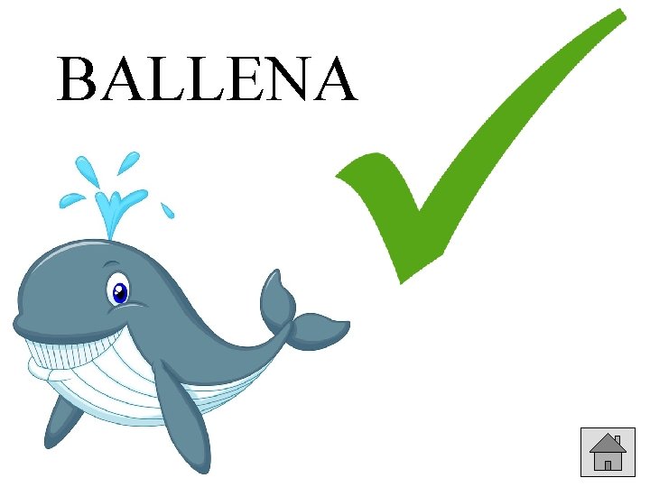 BALLENA 