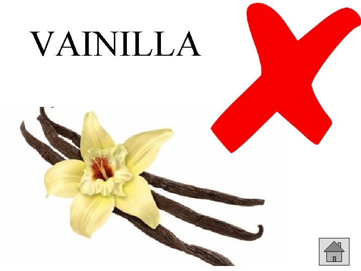 VAINILLA 