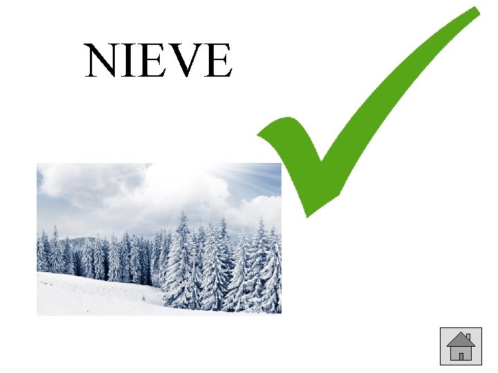 NIEVE 