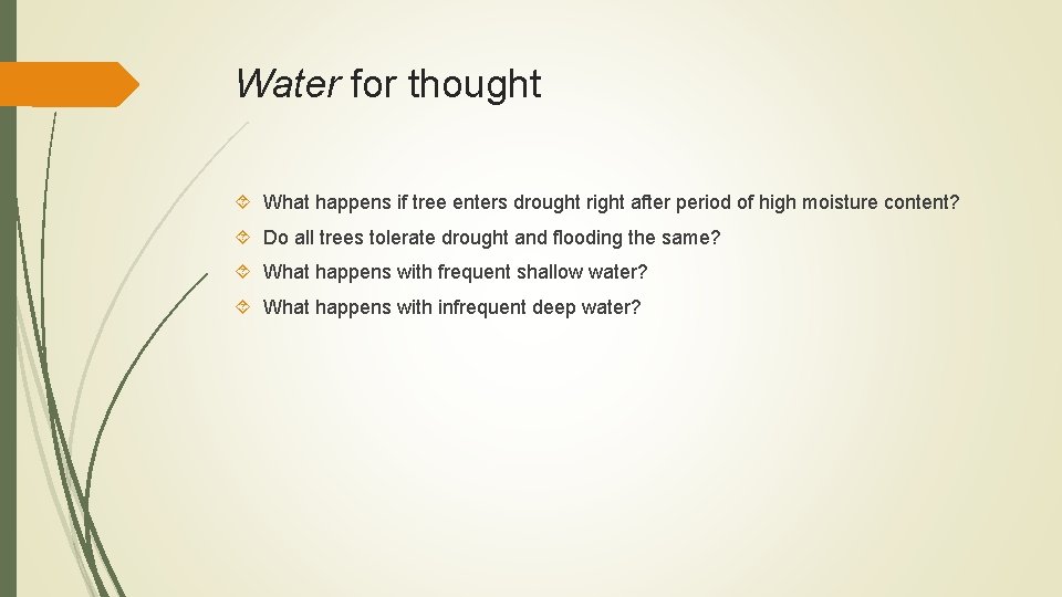 Water for thought What happens if tree enters drought right after period of high Water for thought What happens if tree enters drought right after period of high