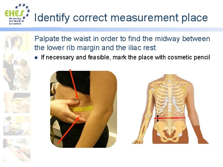 Identify correct measurement place Palpate the waist in order to find the midway between