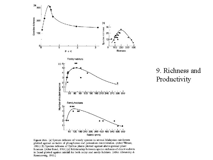 9. Richness and Productivity 