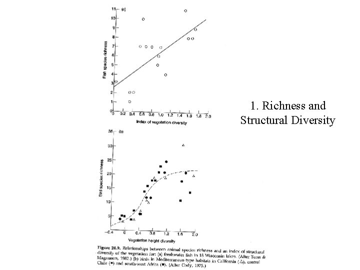 1. Richness and Structural Diversity 