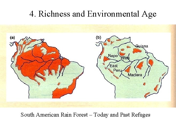 4. Richness and Environmental Age South American Rain Forest – Today and Past Refuges