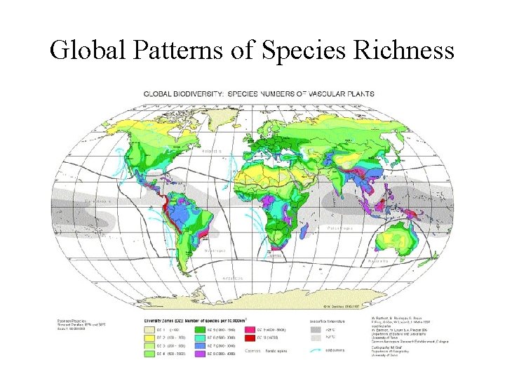 Global Patterns of Species Richness 