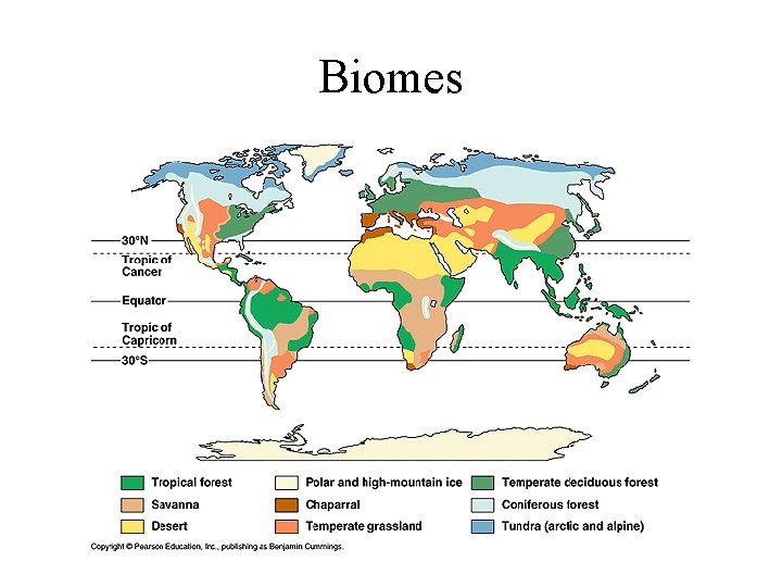 Biomes 