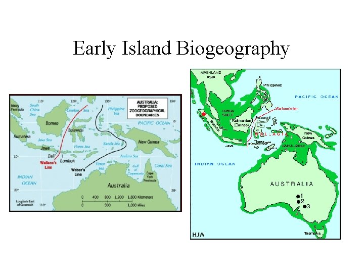 Early Island Biogeography 