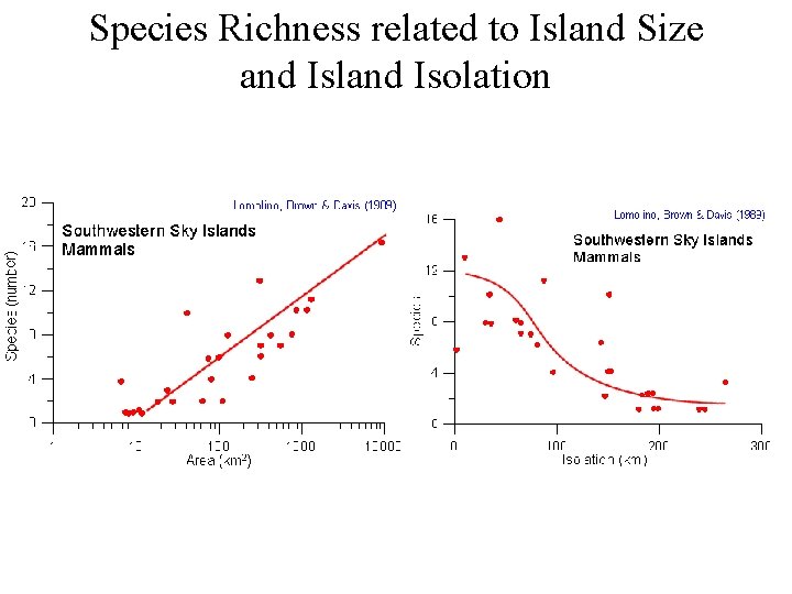 Species Richness related to Island Size and Island Isolation 