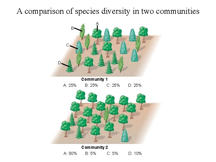 A comparison of species diversity in two communities A B C D A: 25%