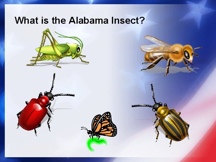 What is the Alabama Insect? 