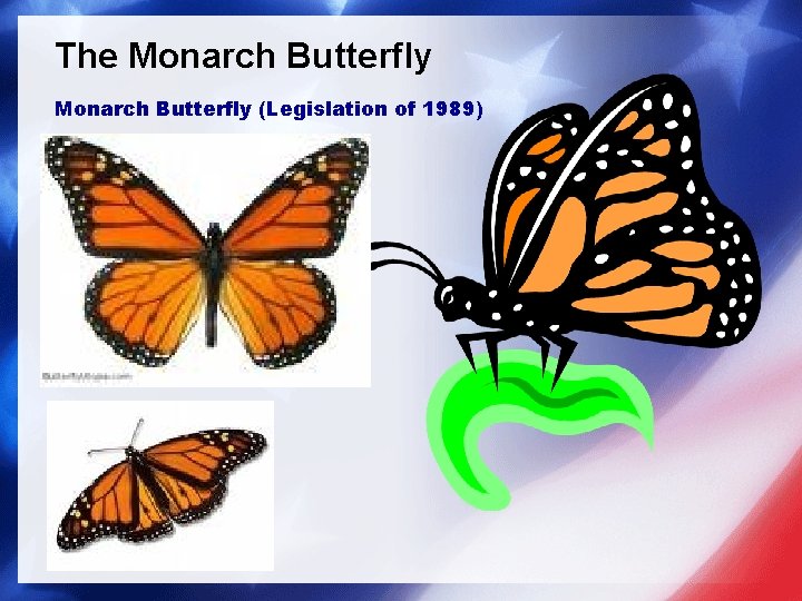The Monarch Butterfly (Legislation of 1989) 