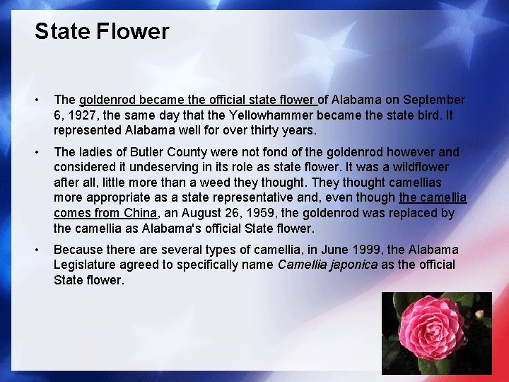 State Flower • The goldenrod became the official state flower of Alabama on September