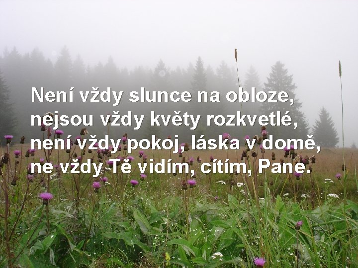 Není vždy slunce na obloze, nejsou vždy květy rozkvetlé, není vždy pokoj, láska v