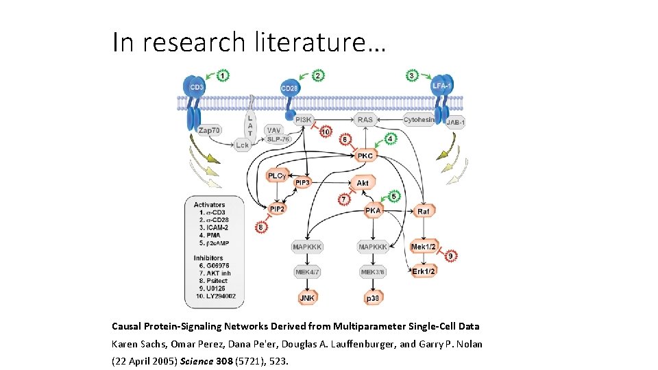 In research literature… Causal Protein-Signaling Networks Derived from Multiparameter Single-Cell Data Karen Sachs, Omar