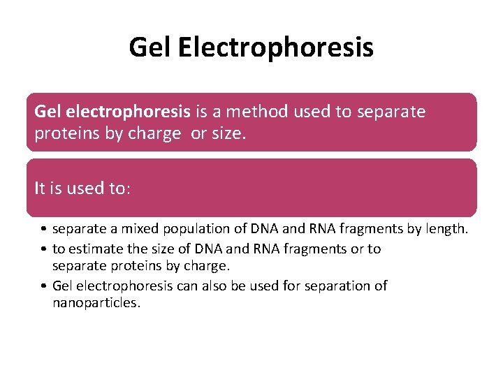 Gel Electrophoresis Gel electrophoresis is a method used to separate proteins by charge or