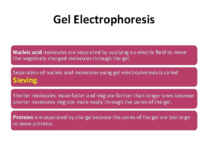 Gel Electrophoresis Nucleic acid molecules are separated by applying an electric field to move