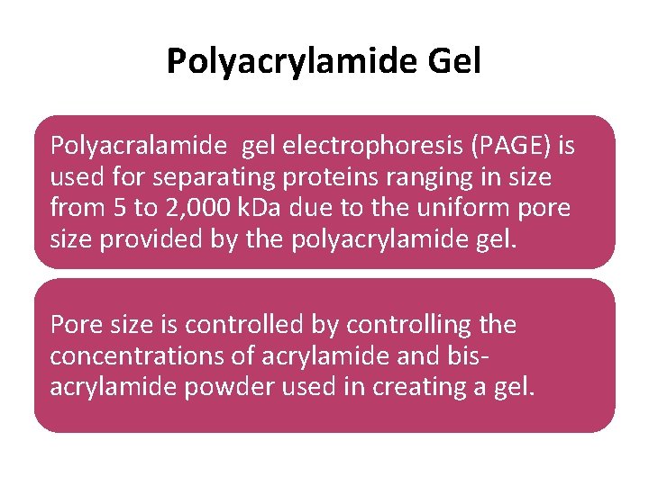 Polyacrylamide Gel Polyacralamide gel electrophoresis (PAGE) is used for separating proteins ranging in size