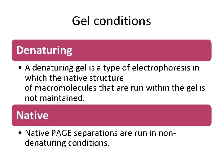 Gel conditions Denaturing • A denaturing gel is a type of electrophoresis in which