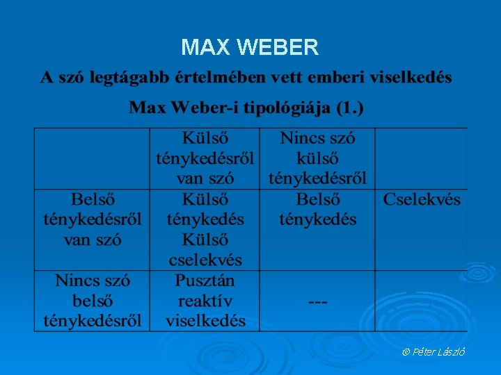 MAX WEBER Péter László 