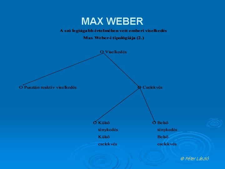MAX WEBER Péter László 