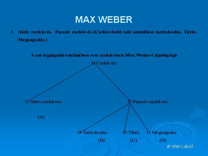 MAX WEBER Péter László 