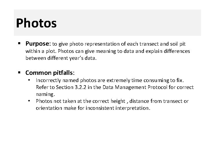 Photos § Purpose: to give photo representation of each transect and soil pit within