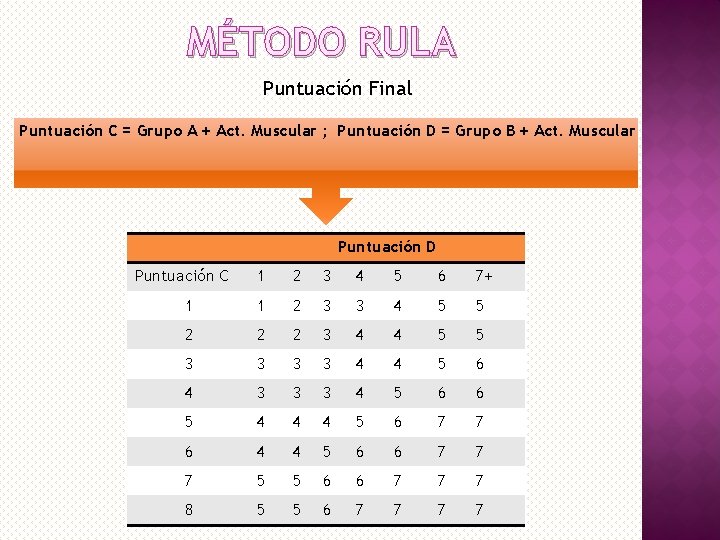 MÉTODO RULA Puntuación Final Puntuación C = Grupo A + Act. Muscular ; Puntuación