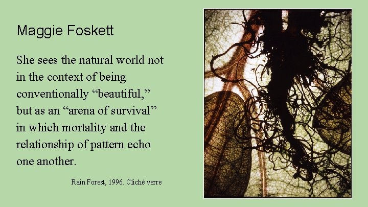 Maggie Foskett She sees the natural world not in the context of being conventionally