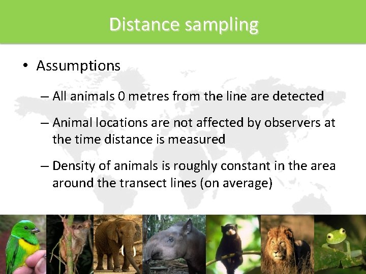 Distance sampling • Assumptions – All animals 0 metres from the line are detected