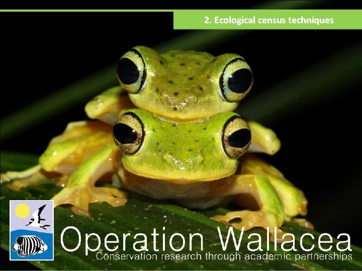 2. Ecological census techniques 