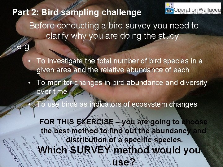 Part 2: Bird sampling challenge Before conducting a bird survey you need to clarify