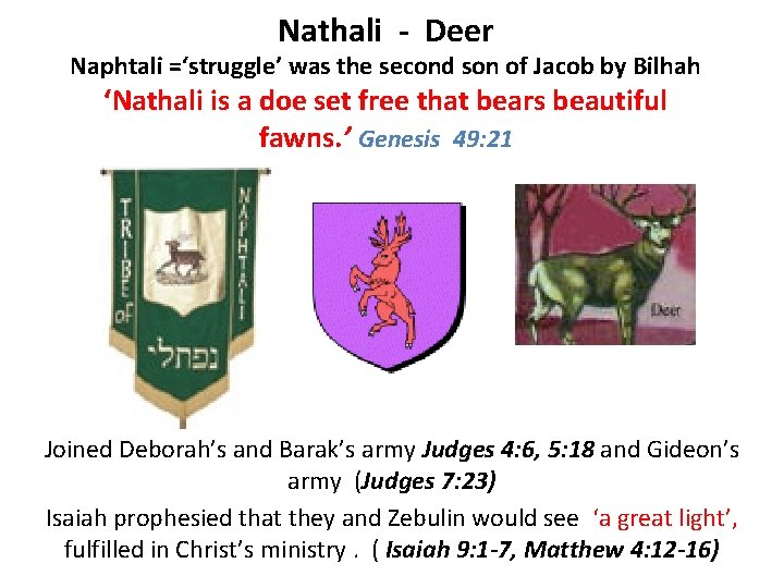 Nathali - Deer Naphtali =‘struggle’ was the second son of Jacob by Bilhah ‘Nathali