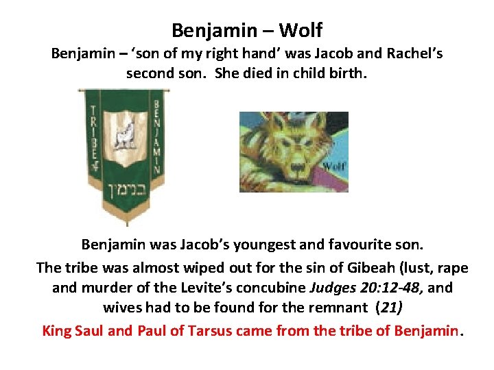 Benjamin – Wolf Benjamin – ‘son of my right hand’ was Jacob and Rachel’s