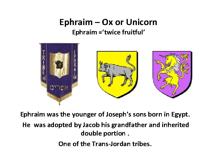 Ephraim – Ox or Unicorn Ephraim =‘twice fruitful’ Ephraim was the younger of Joseph’s