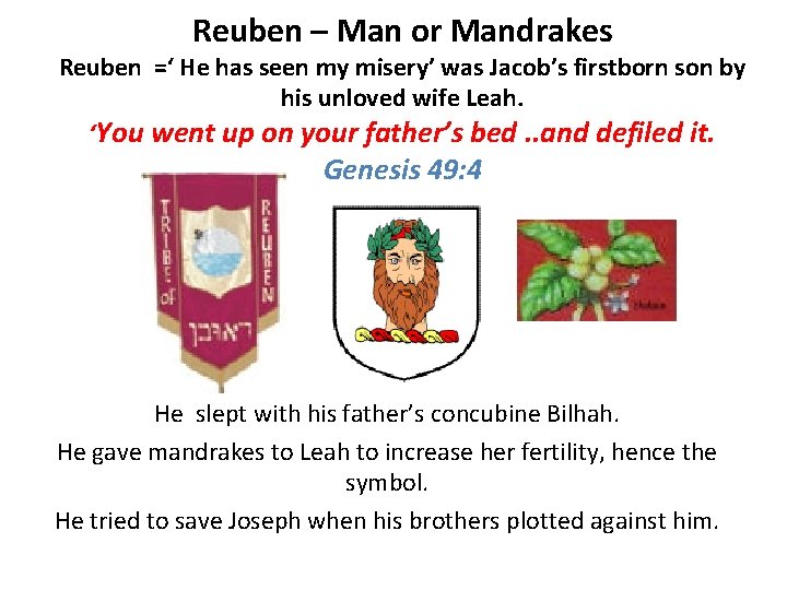 Reuben – Man or Mandrakes Reuben =‘ He has seen my misery’ was Jacob’s