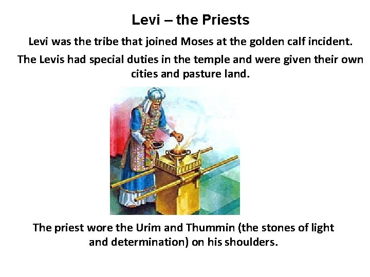 Levi – the Priests Levi was the tribe that joined Moses at the golden