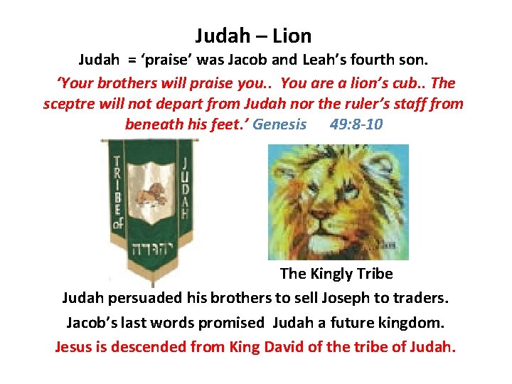 Judah – Lion Judah = ‘praise’ was Jacob and Leah’s fourth son. ‘Your brothers