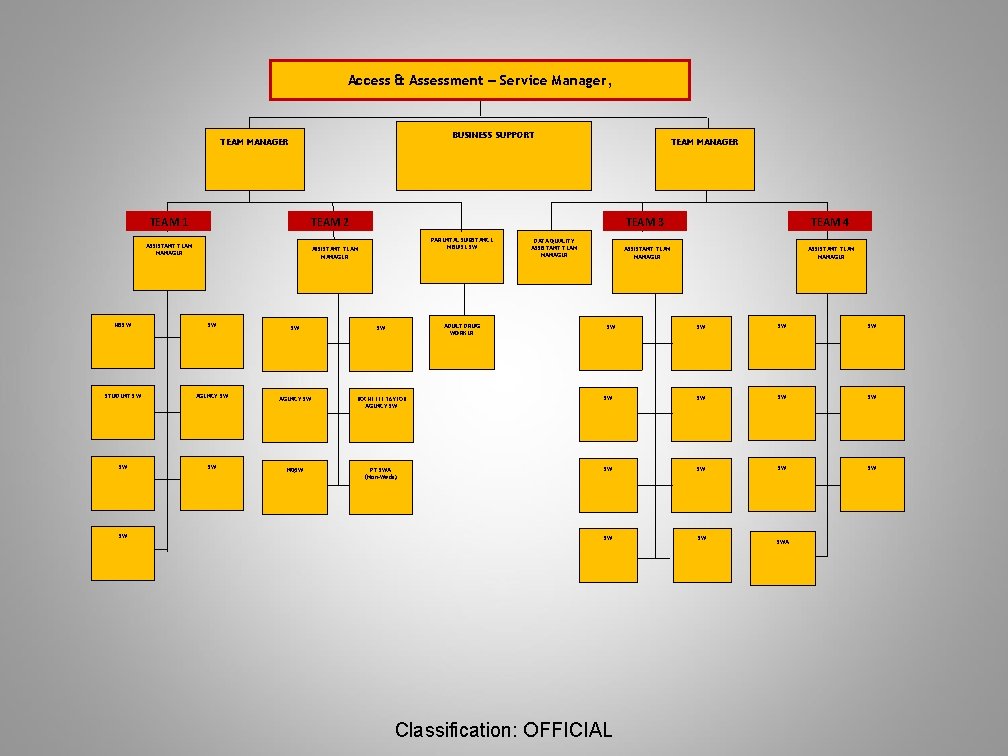 Access & Assessment – Service Manager, BUSINESS SUPPORT TEAM MANAGER TEAM 1 TEAM 2