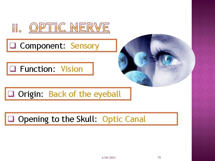 q Component: Sensory q Function: Vision q Origin: Back of the eyeball q Opening