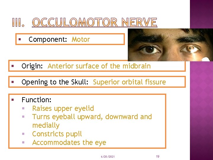 § Component: Motor § Origin: Anterior surface of the midbrain § Opening to the