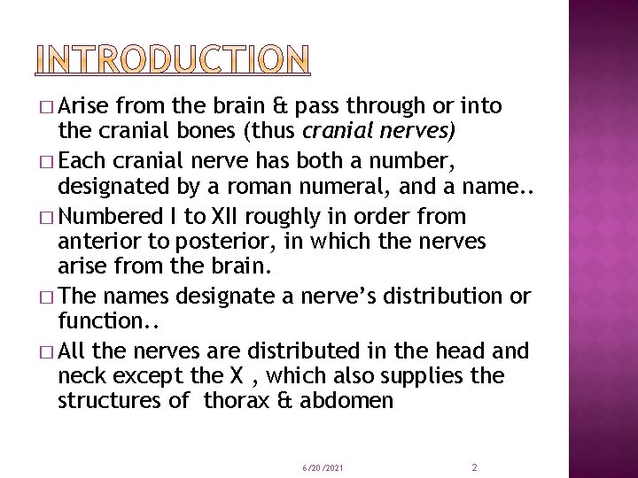 � Arise from the brain & pass through or into the cranial bones (thus