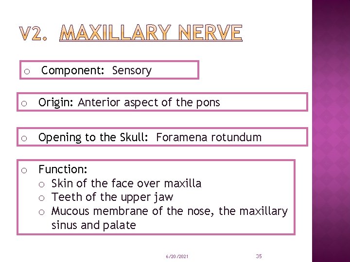 o Component: Sensory o Origin: Anterior aspect of the pons o Opening to the