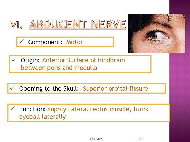 ü Component: Motor ü Origin: Anterior Surface of hindbrain between pons and medulla ü