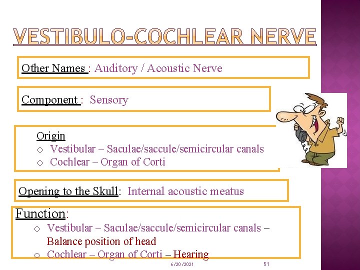 Other Names : Auditory / Acoustic Nerve Component : Sensory Origin o Vestibular –