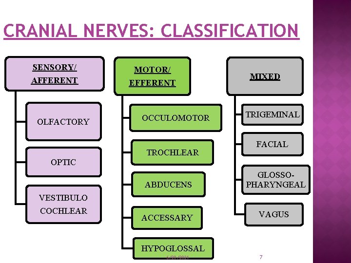 CRANIAL NERVES: CLASSIFICATION SENSORY/ MOTOR/ AFFERENT EFFERENT OLFACTORY OCCULOMOTOR TROCHLEAR MIXED TRIGEMINAL FACIAL OPTIC