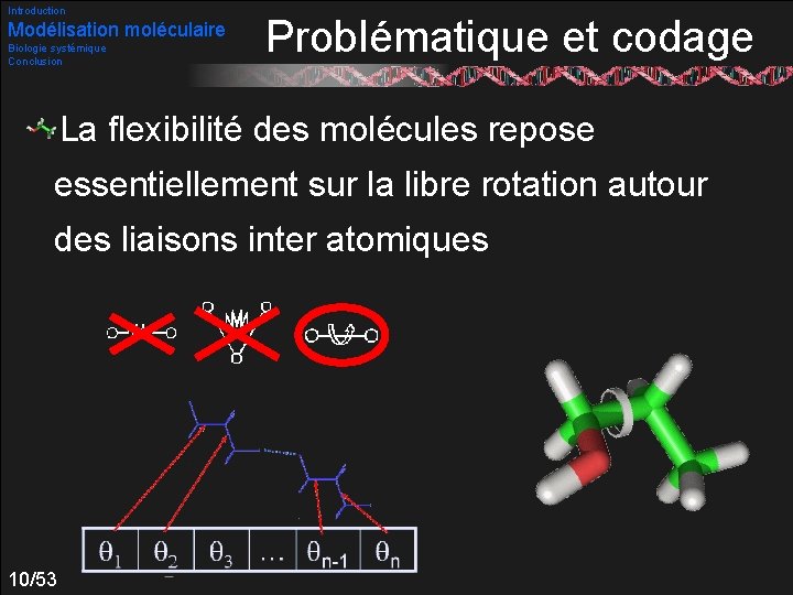Introduction Modélisation moléculaire Biologie systémique Conclusion Problématique et codage La flexibilité des molécules repose