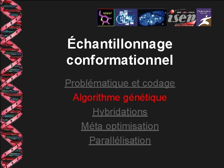 Échantillonnage conformationnel Problématique et codage Algorithme génétique Hybridations Méta optimisation Parallélisation 