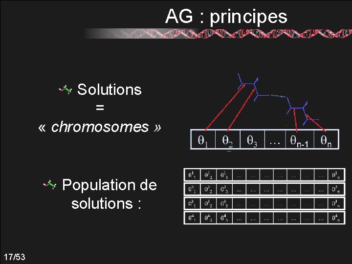 AG : principes Solutions = « chromosomes » Population de solutions : 17/53 