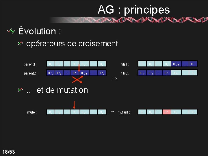 AG : principes Évolution : opérateurs de croisement parent 1 : q 1 q