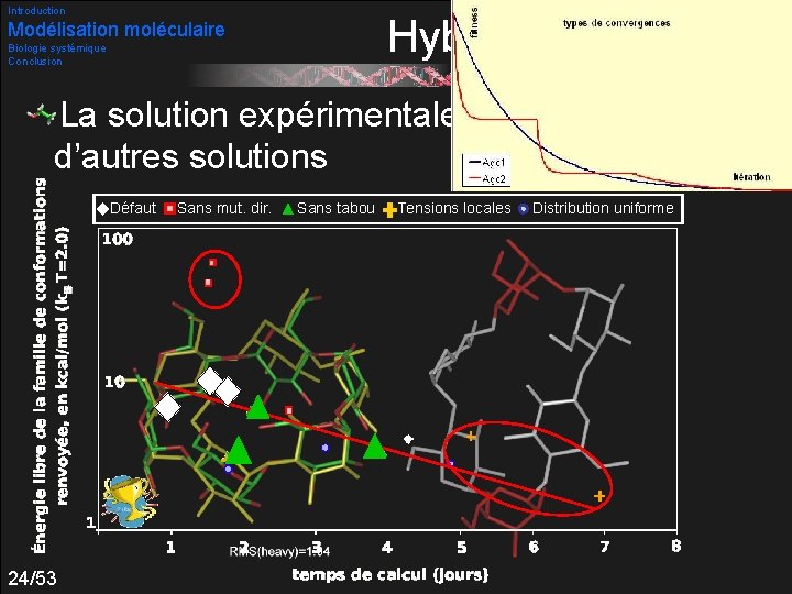 Introduction Hybridations Modélisation moléculaire Biologie systémique Conclusion La solution expérimentale est trouvée parmi d’autres